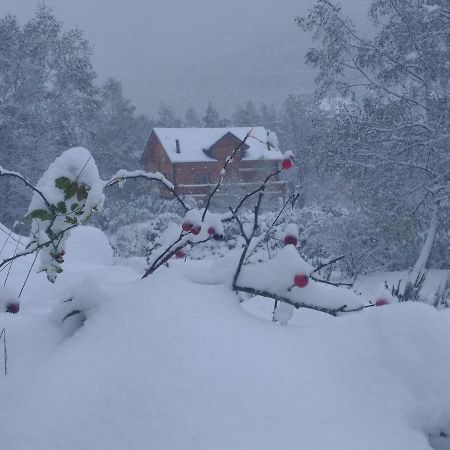 Chalet Bois Au Milieu Des Pyrenees ลอสปิตาเลต์-แพรส์-ลองดอร์ ภายนอก รูปภาพ