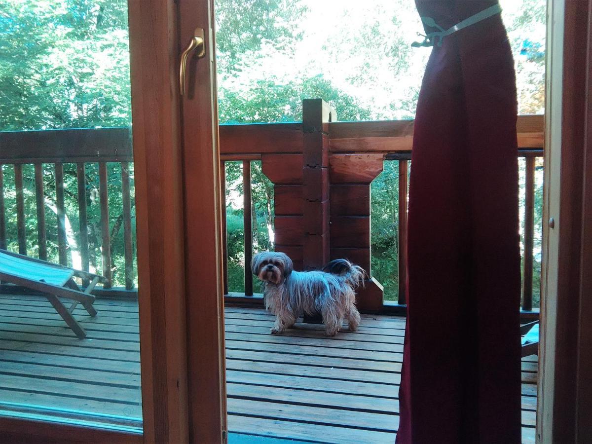 Chalet Bois Au Milieu Des Pyrenees ลอสปิตาเลต์-แพรส์-ลองดอร์ ภายนอก รูปภาพ