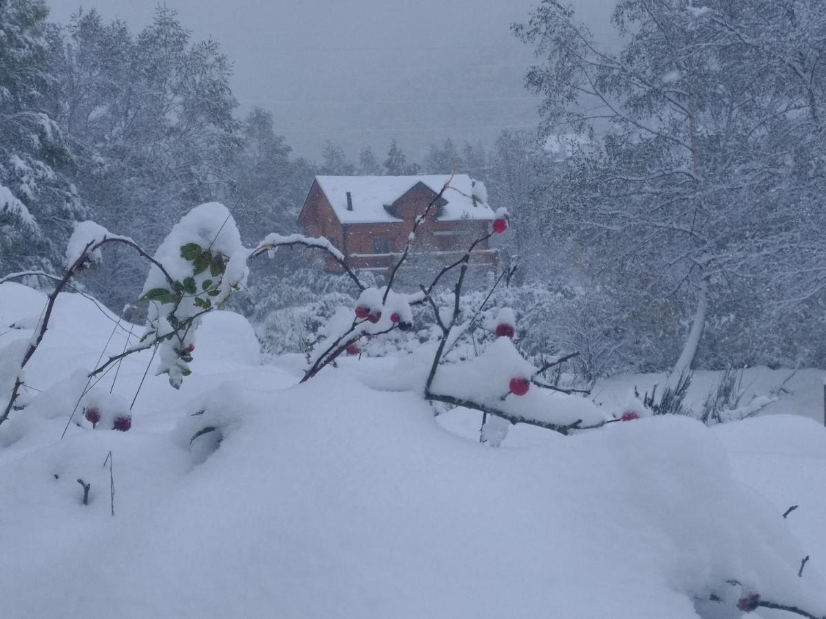 Chalet Bois Au Milieu Des Pyrenees ลอสปิตาเลต์-แพรส์-ลองดอร์ ภายนอก รูปภาพ